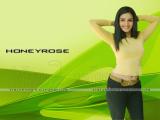 Honey Rose